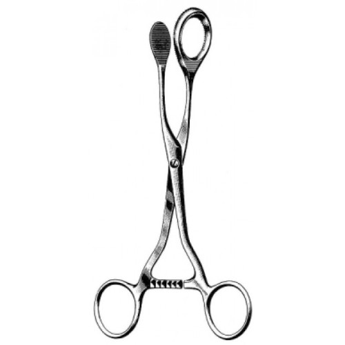 Oral Instruments